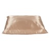 Beauty Pillow Champagne